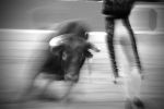 Plaza de toros CordoaMarzo2010Taurotoro7